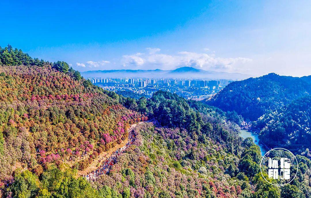 星空体育-“湘超”14市州队服、队徽曝光，你pick谁？